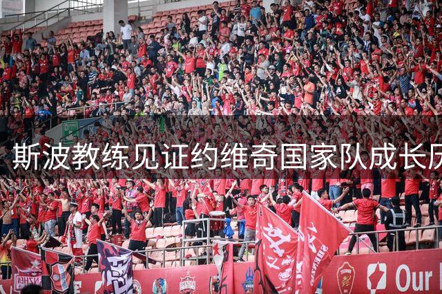 斯波教练见证约维奇国家队成长历程
